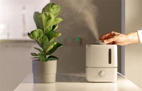 Eliminating Smoke Odors with Mr. Maniac Odor Removee: A Smoker's Dream